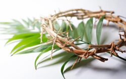 3.29.26 Congressional Note